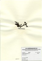 藏品(鳳尾菜)的圖片